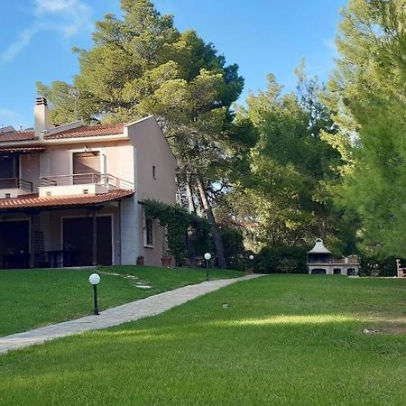 Apartamento Sithonia Alekos Luxury Experience Metamorfosi  Exterior foto